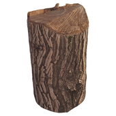 trunk 100