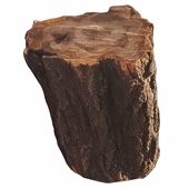 trunk 101