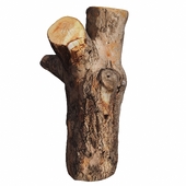 trunk 102