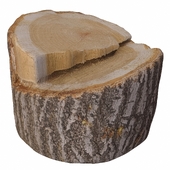 trunk 103