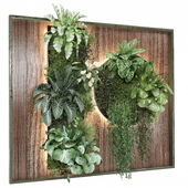 indoor Plants Collection 1823