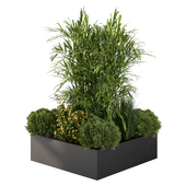 Outdoor Plant Garden Set.131