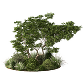 Outdoor Plant Garden Set.132