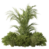 Bush Grass Palm Plant Set.34