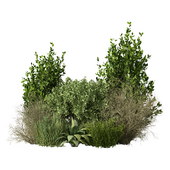 Bush Garden Set.37