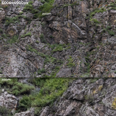 6к Фрагмент скалы с растительностью
