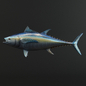 Tuna Fish - Живые существа - 3D модель - фото 3