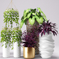 Plants in pots, белый горшок, вазон, цветок - Комнатные - 3D модель