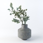 Eucalyptus robusta - Букеты - 3D модель
