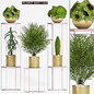 Plant set-120 - Комнатные - 3D модель