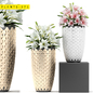 plants 271 - Комнатные - 3D модель