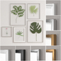 IKEA Frames Set With Plants - Багеты - 3D модель - фото 2