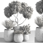 plant outdoor set 02 - Уличные - 3D модель - фото 7