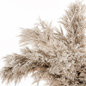Dry plants 78 - Dried Plants in Stone Rock Vase - Букеты - 3D модель - фото 3