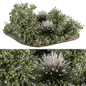 Green and White Bush - Outdoor Garden Set 325 - Уличные - 3D модель