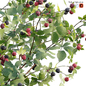 Rubus fruticosus - Blackberry - Кусты - 3D модель - фото 2