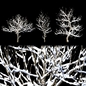 Land scape tree - Деревья - 3D модель - фото 2