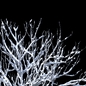 Land scape tree - Деревья - 3D модель - фото 6
