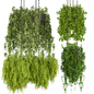 Collection plant vol 291 Indoor  ampelous  hanging - Комнатные - 3D модель