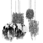 Collection plant vol 291 Indoor  ampelous  hanging - Комнатные - 3D модель - фото 6