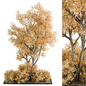 Yellow Atumn tree and Bush - Outdoor Garden Set 357 - Уличные - 3D модель