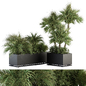 Plant Box Tropical Plants - Outdoor Plants Set 371 - Уличные - 3D модель