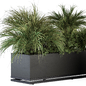 Plant Box Tropical Plants - Outdoor Plants Set 371 - Уличные - 3D модель - фото 3