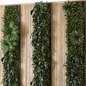 Indoor Wall Vertical Garden in Wooden Base - Set 525 - Фитостены - 3D модель - фото 3