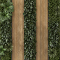Indoor Wall Vertical Garden in Wooden Base - Set 525 - Фитостены - 3D модель - фото 4
