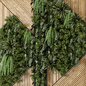 Indoor Wall  Vertical Garden in Wooden Base - Set 568 - Фитостены - 3D модель - фото 2
