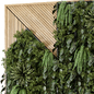 Indoor Wall  Vertical Garden in Wooden Base - Set 568 - Фитостены - 3D модель - фото 5