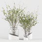 Bouquet Collection 04 - Decorative Branches in Glass Vases - Букеты - 3D модель