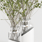 Bouquet Collection 04 - Decorative Branches in Glass Vases - Букеты - 3D модель - фото 4
