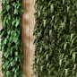 Indoor Wall  Vertical Garden in Wooden Base - Set 581 - Фитостены - 3D модель - фото 4