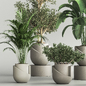 Indoor Plant Set 42 - Комнатные - 3D модель - фото 4