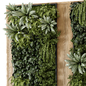 Indoor Wall  Vertical Garden in Wooden Base - Set 778 - Фитостены - 3D модель - фото 2