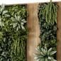 Indoor Wall  Vertical Garden in Wooden Base - Set 778 - Фитостены - 3D модель - фото 5