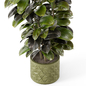 Indoor Plants in rusty Concrete Pot - Set 845 - Комнатные - 3D модель - фото 3