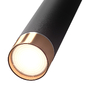 Потолочный светильник Elektrostandard DLN107 GU10 - Подвесной - 3D модель - фото 3