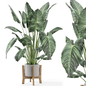 Indoor Plants in rusty Concrete Pot on Wooden Base - Set 936 - Комнатные - 3D модель