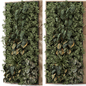 Indoor Wall  Vertical Garden in Wooden Base - Set 1221 - Фитостены - 3D модель - фото 3
