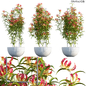 Gloriosa Lily - Flame lily - Climbing Lily - Уличные - 3D модель