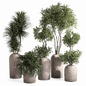 Indoor Plant Set - Комнатные - 3D модель