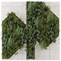 Indoor Wall  Vertical Garden in Wooden Base - Set 1643 - Фитостены - 3D модель - фото 2