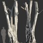 Ficus religiosa Tree Trunk - Деревья - 3D модель