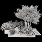backyard and landscape garden tree and bush set 226 - Уличные - 3D модель - фото 7