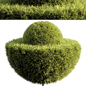 bush tree 025 - Кусты - 3D модель