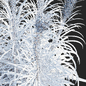 Лиатрис колосковый белый цветы | Liatris spicata alba - Кусты - 3D модель - фото 5