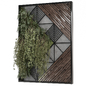 Indoor Plants in Metal Shelf Set 1226 - Комнатные - 3D модель - фото 4