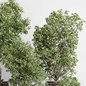 Indoor plant 480 wooden box dirt vase plant tree pot - Комнатные - 3D модель - фото 4